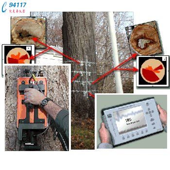 (gu)TREE RADAR INC TRUɼ̽y(c)_(d)ϵy(tng)