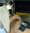 超聲波探傷儀ECHOGRAPH1016B
