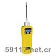 PGM-7600MiniRAE 2000VOC檢測(cè)儀