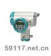 SITRANS F M Intermag2電磁流量計(jì)變送器