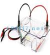 170-4485水平電泳槽Wide Mini-Sub Cell GT (15 x 7 cm tray)