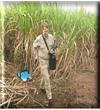 探地雷達(dá)土壤污染調(diào)查Grounddetection