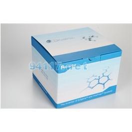 LIC1101-25BMG無(wú)縫克隆試劑盒